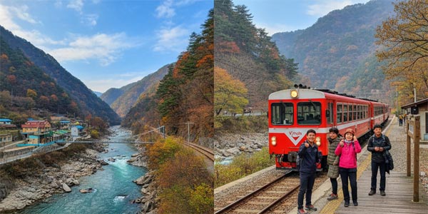 백두대간협곡열차 시간표(V-Train), 운임 정보, 그리고 노선에 대한 완벽한 안내 자료입니다.